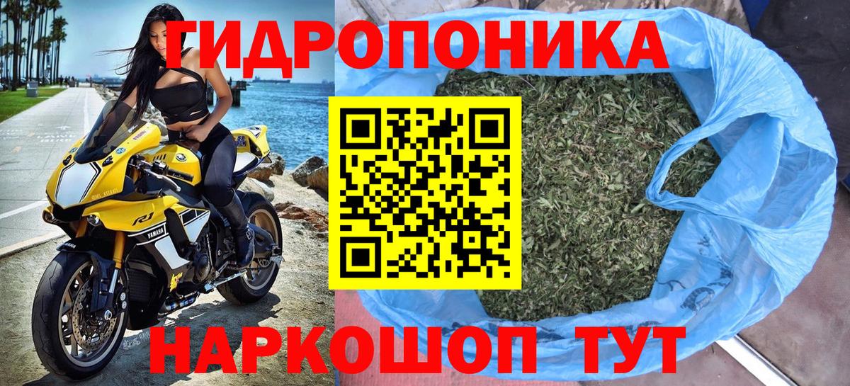 МАРИХУАНА ГИДРОПОН  Бошки Шишки план  Саров  Вход с VPN 